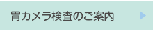 胃カメラ検査のご案内